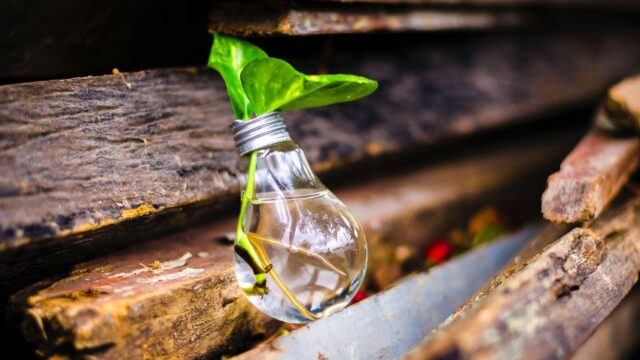SMEs Innovation