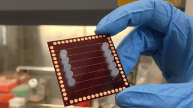 Cellply receives €2.34m from SME Instrument program