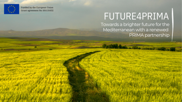 FUTURE4PRIMA